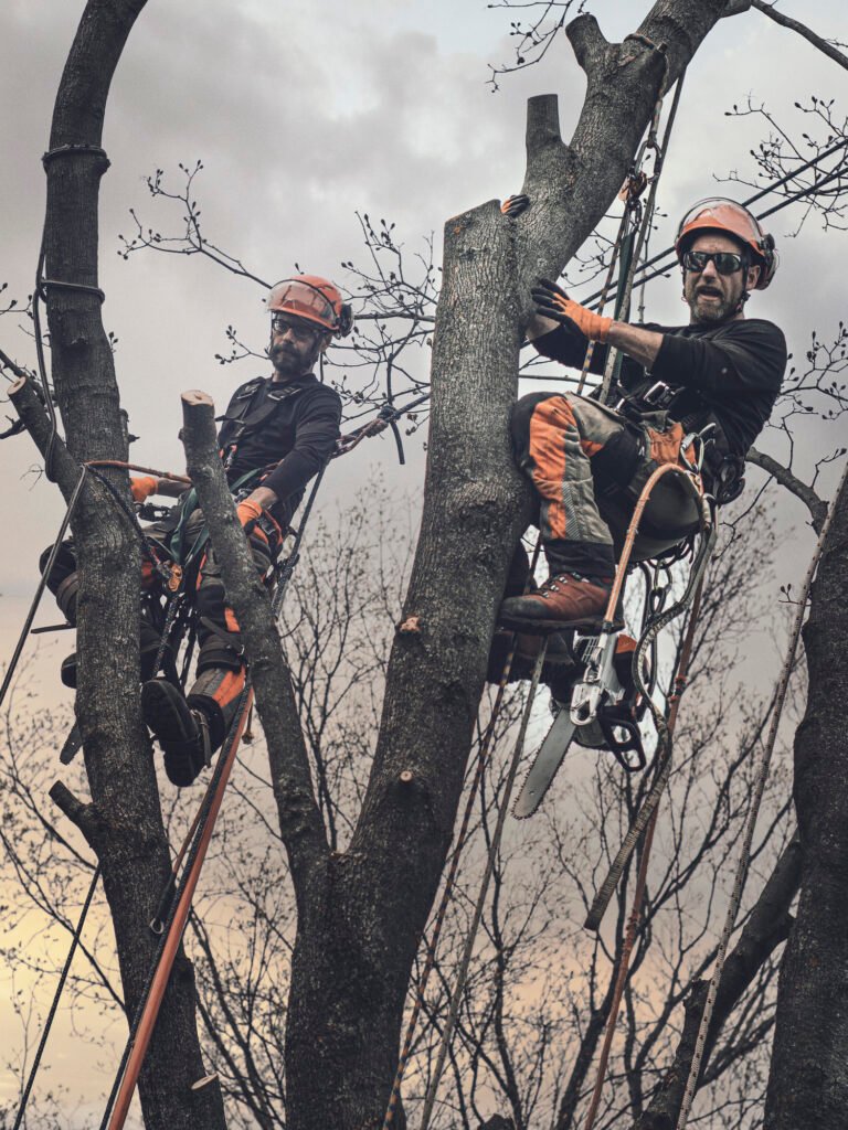 Baumpflege Team Dinslaken Über Uns