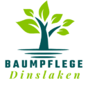 Baumpflege Dinslaken