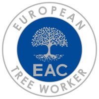 European tree worker in Dinslaken